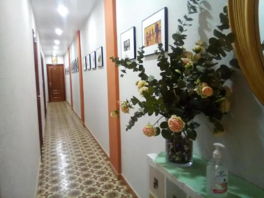 Las Golondrinas Habitacion En Piso Centrico Para Una O Dos Personas Zaragoza Exterior photo